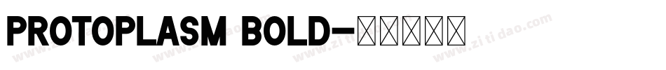 Protoplasm Bold字体转换